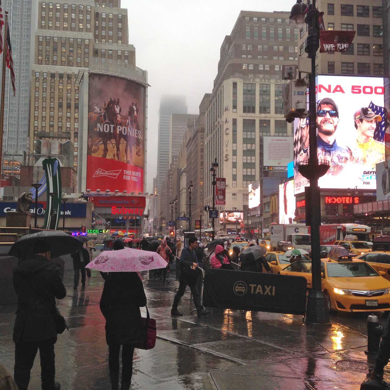 New York, now warm and wet